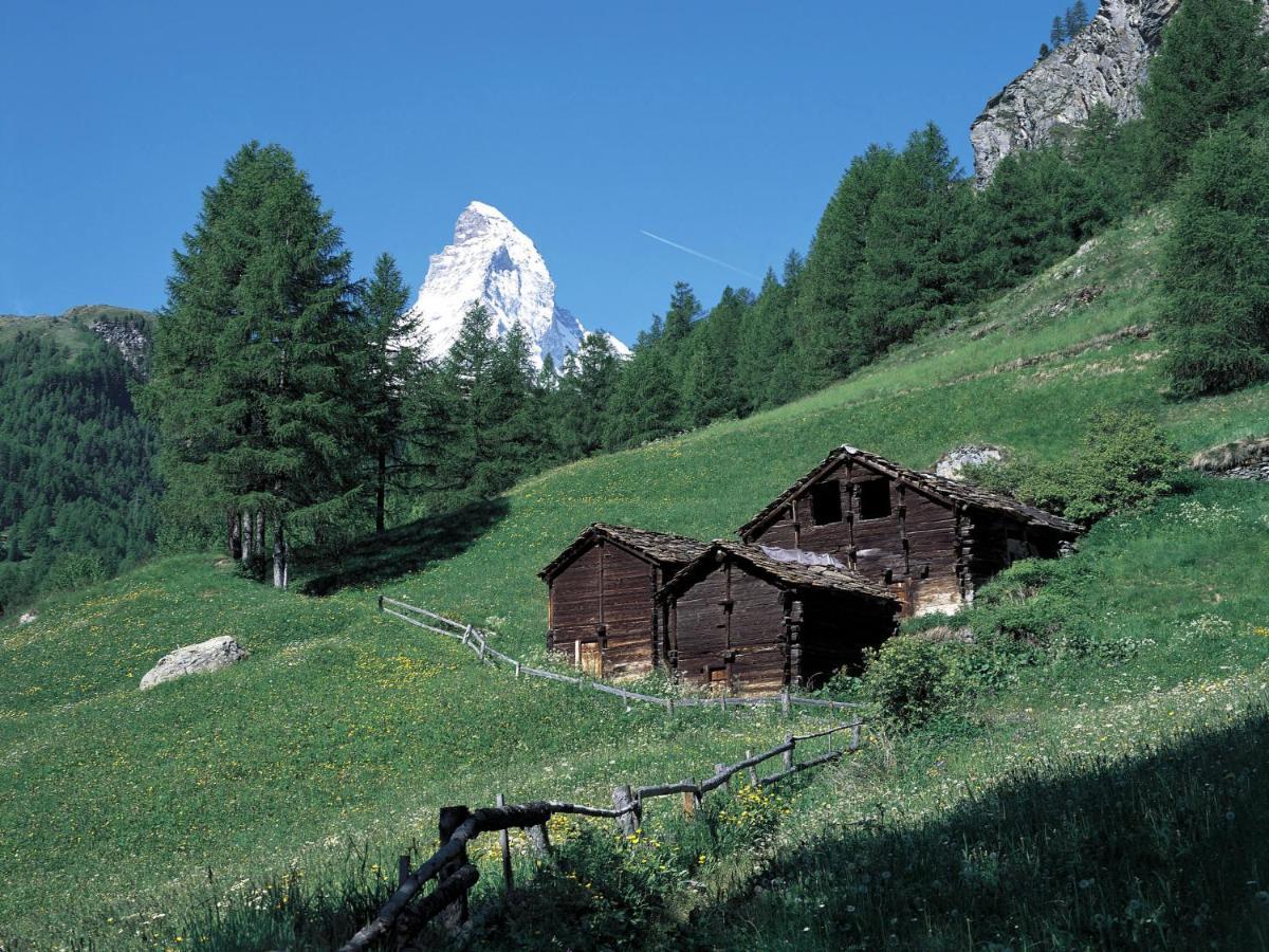 Apartment Beaulieu Zermatt Exterior foto